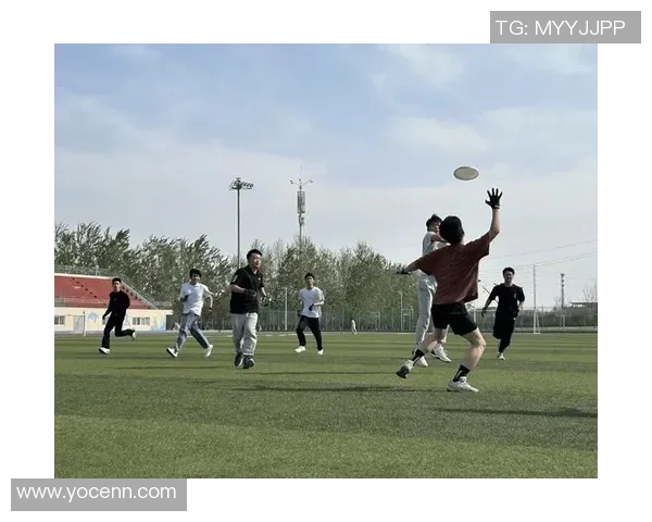 科学飞盘训练法：提升灵活性与协调性的全新方法探讨